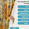 پارچه مخمل روتختی مدل ببری نارنجی سیاه کد 5011322