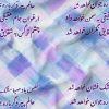 پارچه مخمل طرح فارسی نوروز